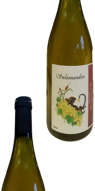 vin-salamandra-william-thery